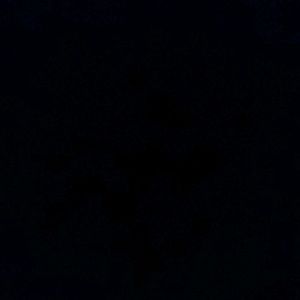 Meet your Posher, Daysia